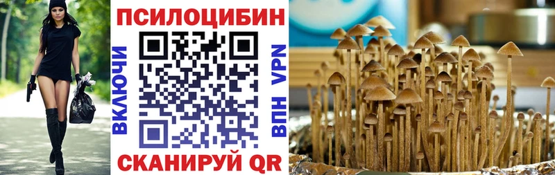 Купить  Камень-на-Оби  Галлюциногенные грибы Psilocybine cubensis 